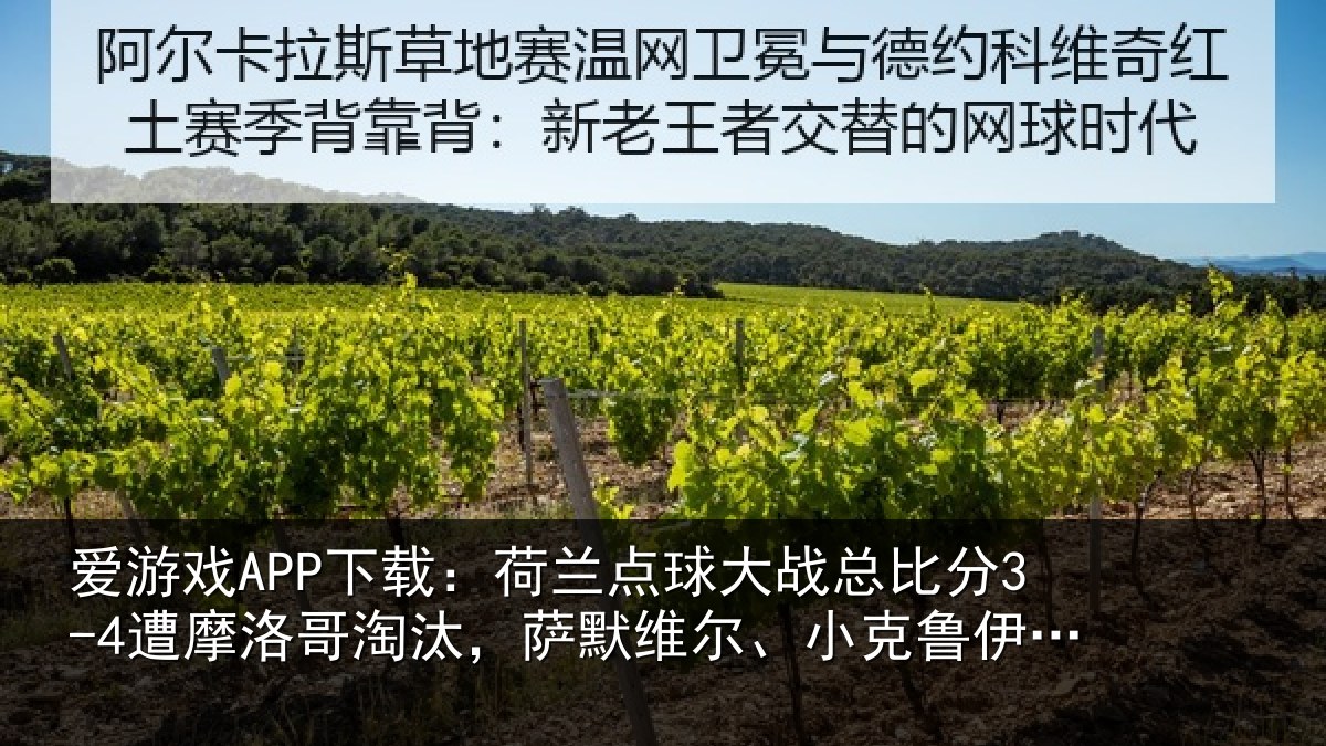 爱游戏APP下载：荷兰相关情况摩洛相关情况克鲁伊维特丢点
