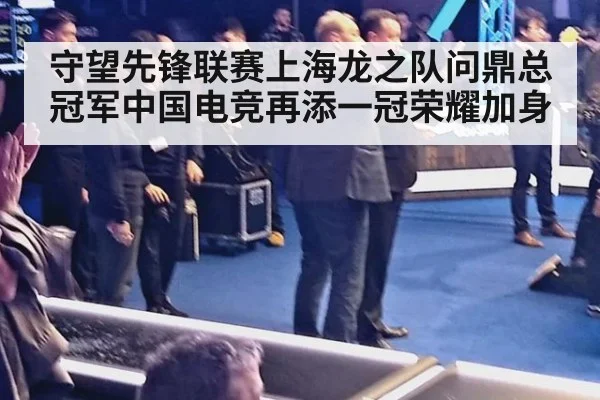 守望先锋联赛上海龙之队问鼎总冠军中国电竞再添一冠荣耀加身